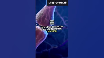 LSTM Networks Explained