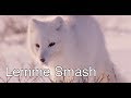 Lemme Smash - Fox Edition (Where's Helen?)