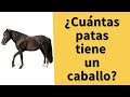 Quiz de Comprensión del Video