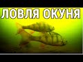 Ловля окуня. Подводные сьемки | Вперед за приключениями!