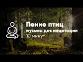 ПЕНИЕ ПТИЦ И МУЗЫКА ДЛЯ МЕДИТАЦИИ 10 минут