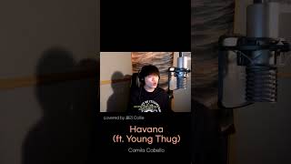 [Cover] Havana (ft. Young Thug) - Camila Cabello