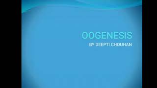 Oogenesis by Deepti Chouhan