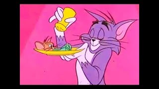 Tom And Jerry English Episodes - Love Me, Love My Mouse - Cartoons For Kids 