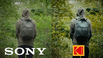 How to Make ANY Camera Look Like 16mm Film! (Film Emulation)