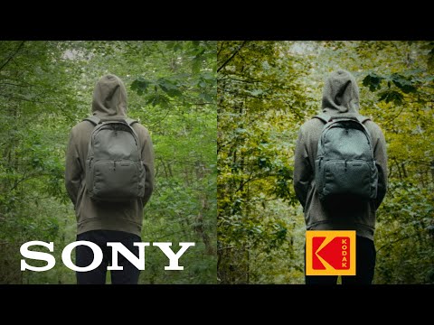 How to Make ANY Camera Look Like 16mm Film! (Film Emulation)