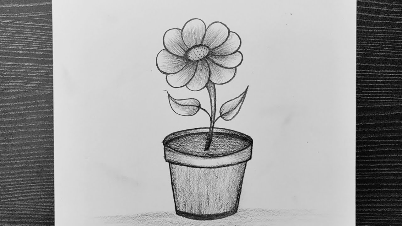 How To Draw A Flower Pot With Pencil Shading Best Flower Site