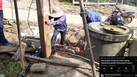 Pa lăng xích kéo trụ điện 100kg - 3 tấn dễ như chơi | Pa lăng xích | Vietnam Garden