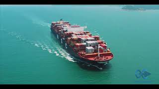 The MemComputing Advantage in Transportation Logistics