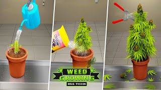 Weed Growing - Android Gameplay screenshot 3