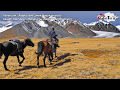Zhorgha Tay [Kazakh Folk Song] (by Saniya Onerkhankyzy)