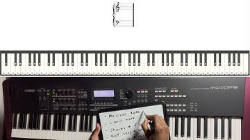 How to sight read and play piano in one day (Beginner lesson)