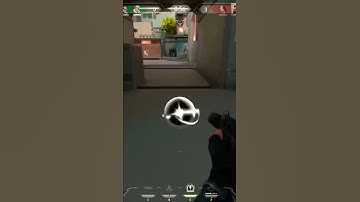 COD player tries VALORANT