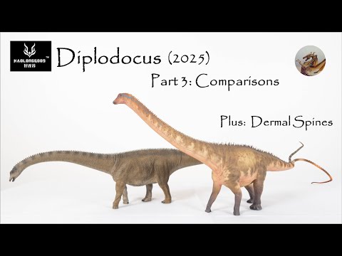361 Haolonggood Diplodocus Part 3 Rebor And Other Comparisons 2025