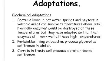 B2 Adaptations