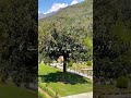 Beautiful view