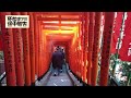 初詣に日枝神社に行ってきました【死ぬまでの途中報告】