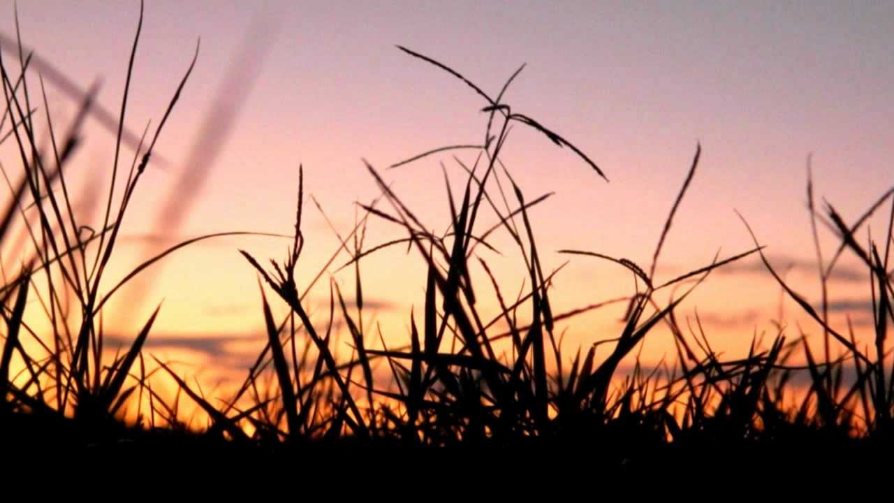 GIULIO BRANDO - CAMPI ELISI 432Hz