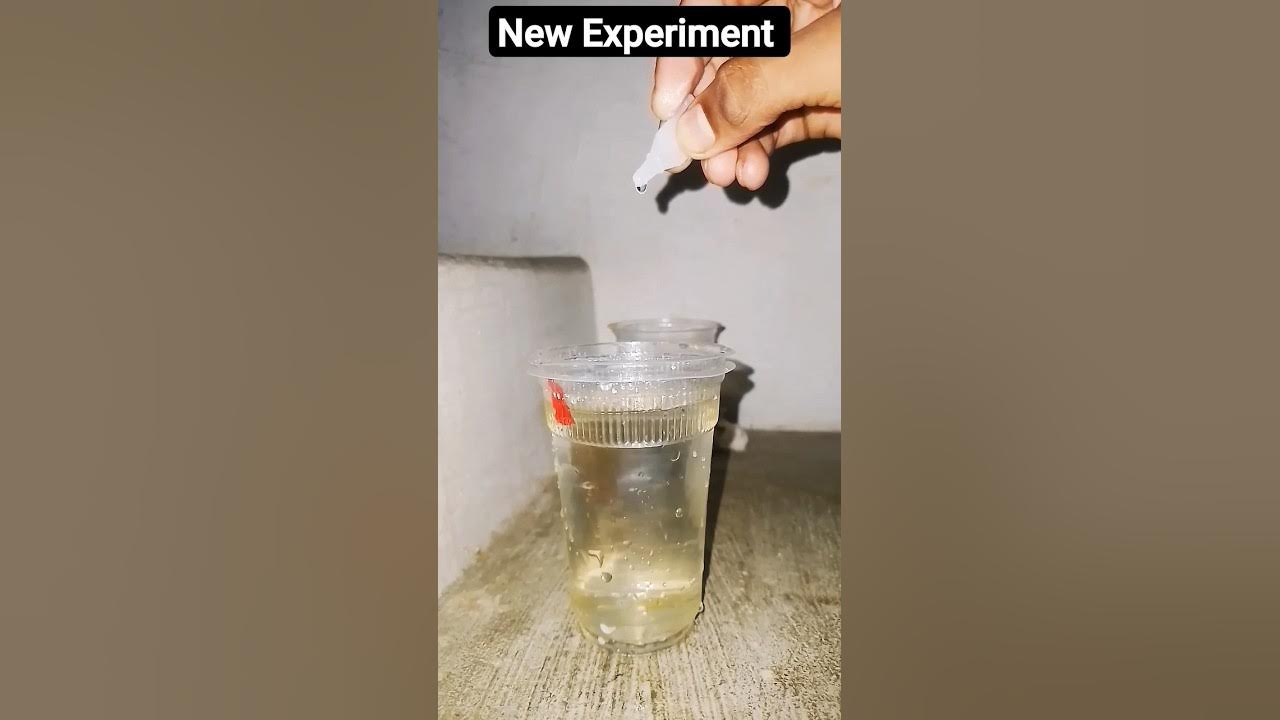 Feviquick Experiment on Hot 🥵 Water 🌊 viral experiment shorts