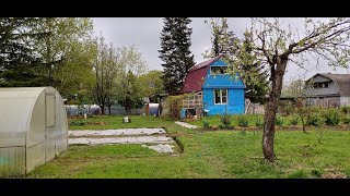 Rain or shine, the work continues at our dacha - May 11, 2024