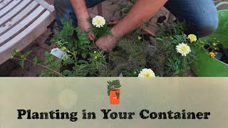 Let's Grow Stuff - Planting In Your Container