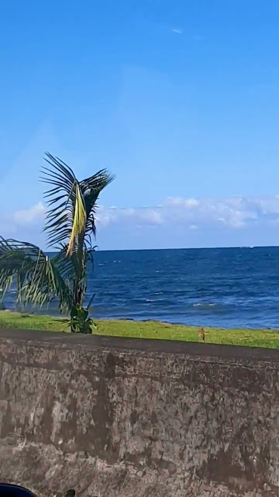 Kaipalaoa, Hawaiʻi 🤙 🌺