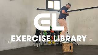 Box Step-Down | Exercise Demo | Male