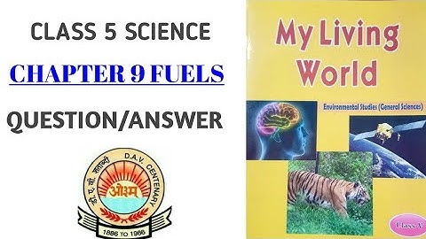 CHAPTER 9 FUELS- QUESTION AND ANSWER | CLASS 5 SCIENCE DAV PUBLIC SCHOOLS
