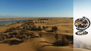 Can A Desert Be Reclaimed For Human Habitation?