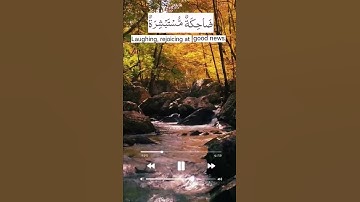 وجوه يومئذ مسفرة ضاحكة مستبشرة | سورة عبس