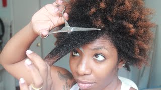 The Big Chop on Natural Hair | My Second Big Chop