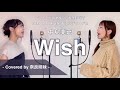 【姉妹でハモる】Wish / 中島美嘉 (アニメ「ベルセルク」黄金時代篇 MEMORIAL EDITION エンディング曲) Covered by 奈良姉妹