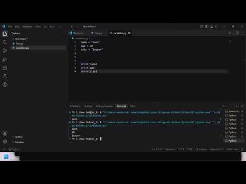 Python Variables in English | Python for Beginners | Day 1 | Sansoraa