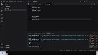 Python Variables in English | Python for Beginners | Day 1 | Sansoraa