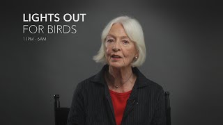 Jane Alexander - Lights Out for Birds