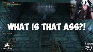 What Is That Ass?!