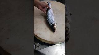 Giant Milk Fish Fast Cutting Skills#shorts Resimi