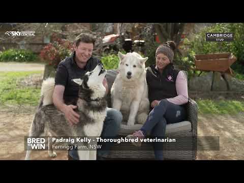 FERNRIGG FARM STUD DOGS BRED TO WIN EP 8 2025 FERNRIGG FARM STUD DOGS BRED TO WIN EP 8 2025
