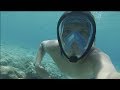 100% Anti Fog Snorkel Mask...Does it work?! | Seabeast AF90 Review
