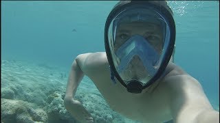 100% Anti Fog Snorkel Mask...Does it work?! | Seabeast AF90 Review