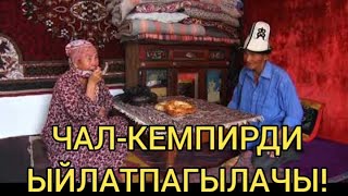 ЧАЛ-КЕМПИРДИ МЫНТИП ЫЙЛАТПАГЫЛА!!!