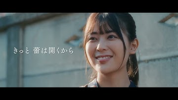 岩本蓮加（乃木坂46）＆宝田明 Ｗ主演「世の中にたえて桜のなかりせば」予告