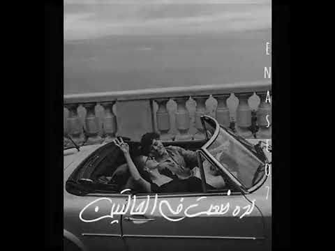 قالوا فيكي حماقي