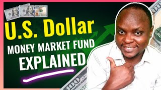 US Dollar Money Market Fund in Kenya | Everything You need to Know
