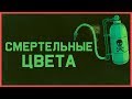 Edu: Смертельные цвета