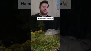 Twitch: SOK_VOSEM #icarus #охотавиграх #геймингсдругом #игровыебаги #shorts