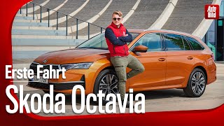 Skoda Octavia Facelift (2024): Erste Fahrt by AUTO BILD 27,558 views 3 weeks ago 13 minutes, 33 seconds