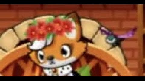 Interview | Meow Playground