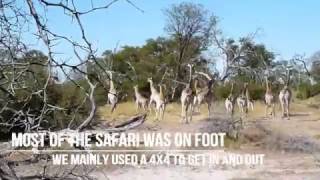 Walking Safari at the Okavango Delta, Botswana