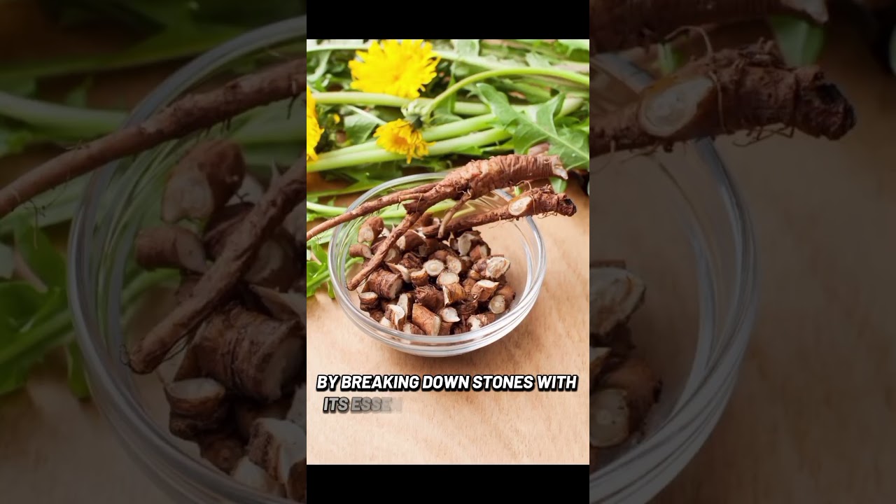 3 Best Herbal Teas to Support kidney Health